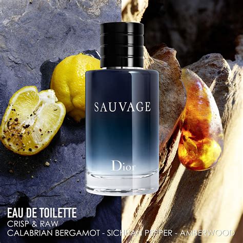 dior sauvage toilette oder parfum|sauvage eau de toilette ulta.